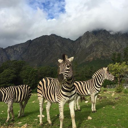 Franschhoek Country Cottages Exterior foto