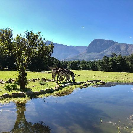 Franschhoek Country Cottages Exterior foto