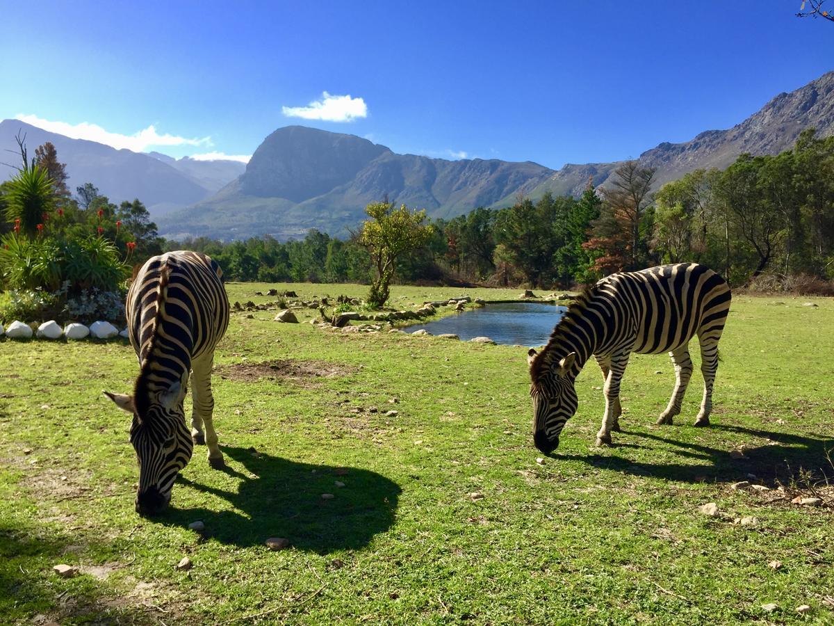 Franschhoek Country Cottages Exterior foto