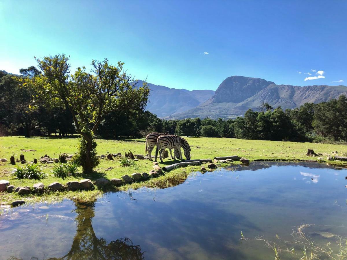 Franschhoek Country Cottages Exterior foto